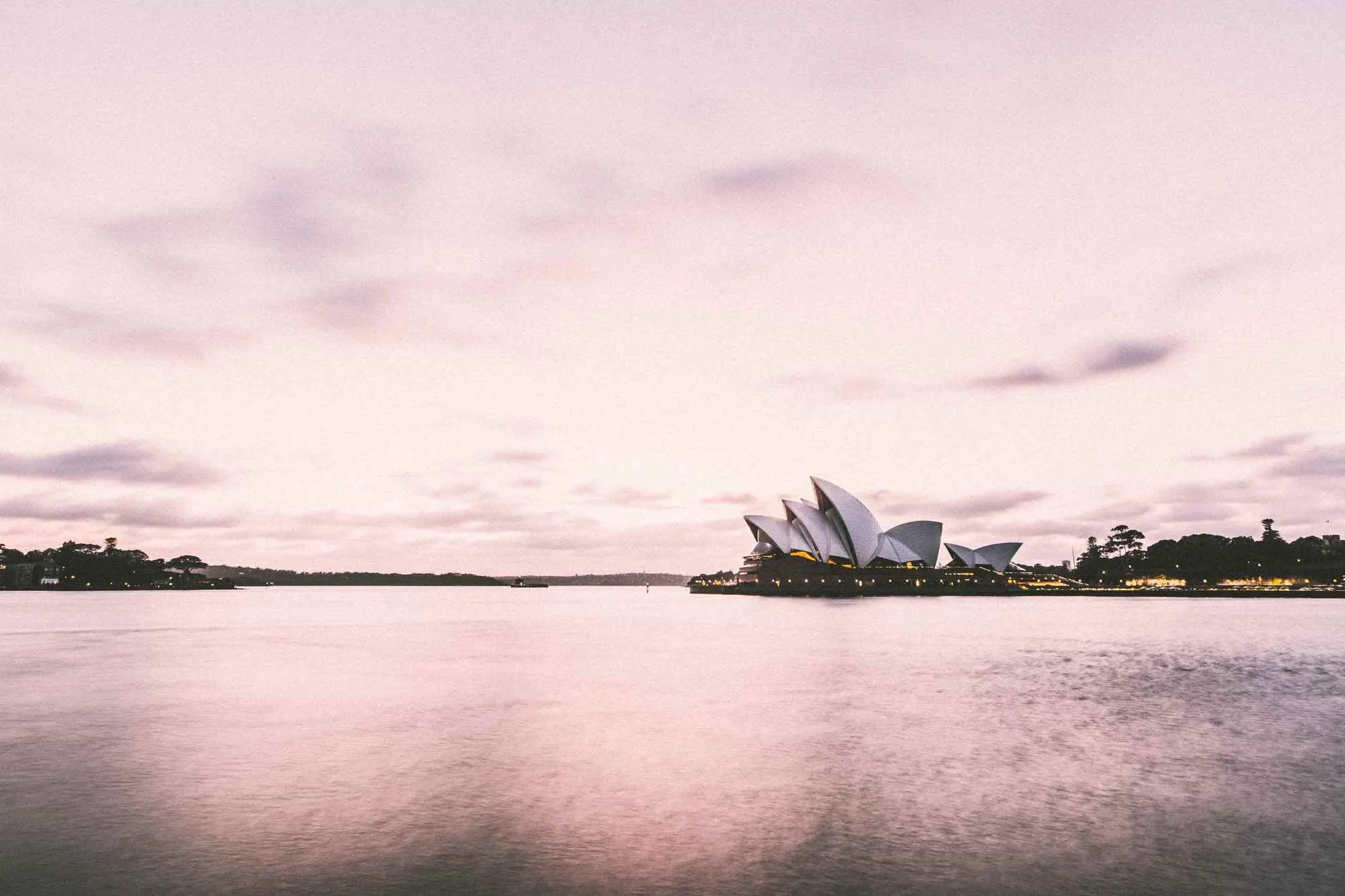 Investing in Australian Startups